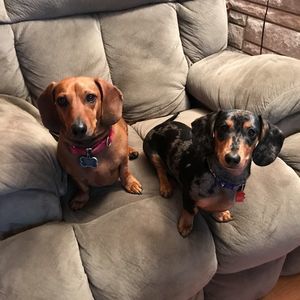 Meet your Posher, Joanna